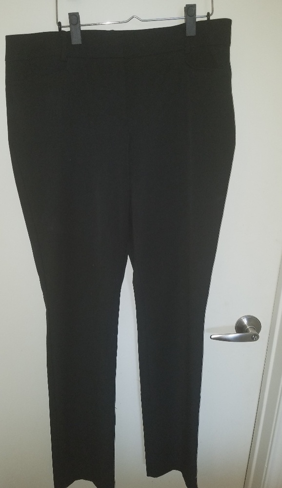 New York & Company Trouser